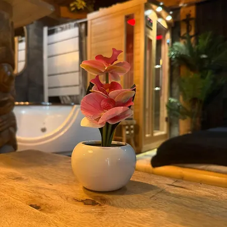 Apartament Pirates Des Caraibes *